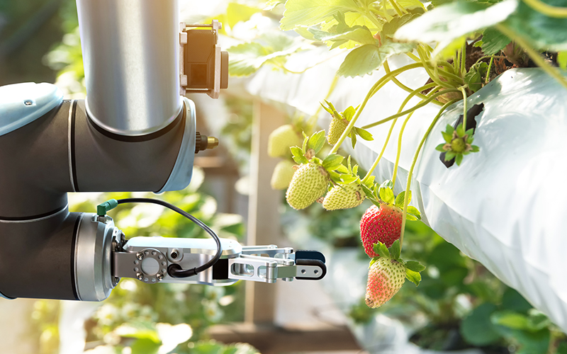 Agriculture Automation