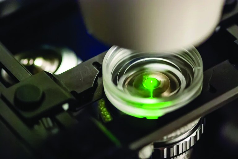 9-capabilites-EmbeddedCaptureSystem-confocal-microscope-sample